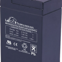 фото Аккумуляторная батарея Leoch Battery DJW6-6,0 (DJW6-6,0)