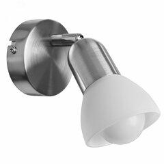 фото Спот Arte Lamp FALENA A3115AP-1SS (A3115AP-1SS)