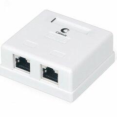 фото Розетка компьютерная RJ-45(8P8C), категория 6, экранированная, двойная, внешняя, Dual IDC (WS-8P8C-Cat.6-SH-2)