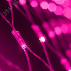 фото Гирлянда светодиодная декоративная ARD-NETLIGHT-CLASSIC-2000x1500-CLEAR-288LED Pink (230V, 18W) (ARDCL, IP65) (024683)