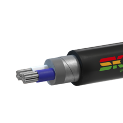 фото Кабель силовой АВБШв 2х35мк(N)-0.66 ТРТС