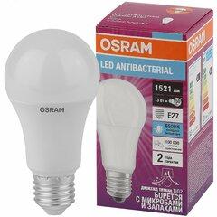 фото Лампа светодиодная LED Antibacterial Грушевидная 13Вт (замена 150 Вт), 1521Лм, 6500 К, цоколь E27 OSRAM (4058075561151)
