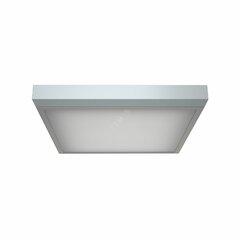 фото Светильник OPL/S ECO LED 600 HFD 4000K (1058000410)