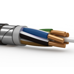 фото Кабель силовой ВБШвнг(А)-LS 5х10.0 ок (N.PE)-0.66 ТРТС