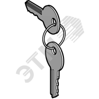 фото Ключ №455 с защитным колпачком (ZBG455P)