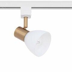 фото Спот Arte Lamp FALENA A3117PL-1WH (A3117PL-1WH)