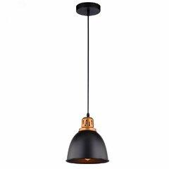 фото Светильник Arte Lamp EURICA A4245SP-1BK (A4245SP-1BK)