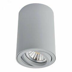 фото Светильник Arte Lamp SENTRY A1560PL-1GY (A1560PL-1GY)