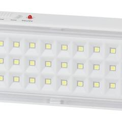 фото Светильник светодиодный аварийный непостоянный DBA-103-0-20  60LED 5ч IP20 (40/1600) ЭРА (Б0044396)