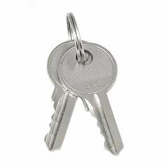 фото Ключ для замка (арт. 18-20/38-ip31) PROxima (key-1)