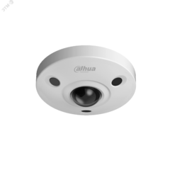 фото Камера сетевая панорамная с объективом FishEye (DH-IPC-EBW8630P)