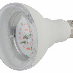 фото Лампа светодиодная лампа для рассады тип А60,FITO-16W-RB-E27-K 16 Вт, 220-240V ЭРА (Б0039072)