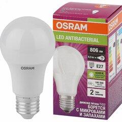 фото Лампа светодиодная LED Antibacterial Грушевидная 8,5Вт (замена 75 Вт), 806Лм, 4000 К, цоколь E27 OSRAM (4058075561199)