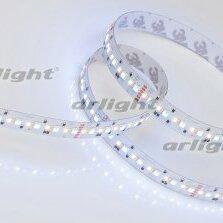 фото Лента LED RT-GM288-12mm 24V RGBW-MIX (19.2 W/m, IP20, 3838/2216, 5m) (ARL, Открытый) (028258(2))