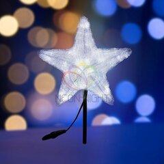 фото Фигура профессиональная светодиодная акриловая Звезда 50см 160LED белая (513-455)