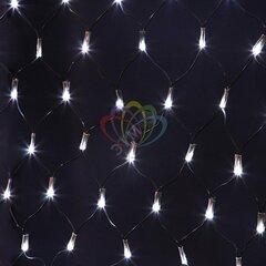 фото Гирлянда-сеть профессиональная светодиодная 2 х 1.5м свечение с динамикой черный провод белый (215-021)