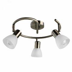 фото Спот Arte Lamp PARRY A5062PL-3AB (A5062PL-3AB)