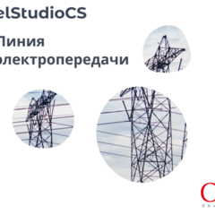 фото Право на использование программного обеспечения Model Studio CS ЛЭП (3.x, сетевая лицензия, серверная часть (1 год)) (MSLN3N-CT-10000000)