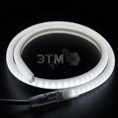 фото Гибкий Неон профессиональный LED SMD, форма - D, белый, 120 LED/м,  бухта 100м (131-075)