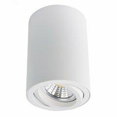 фото Светильник Arte Lamp SENTRY A1560PL-1WH (A1560PL-1WH)