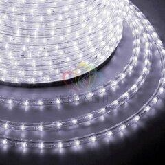 фото Дюралайт профессиональная светодиодный постоянное свечение (2W) белый 220В d13мм (бухта 100м) (121-125)