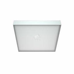 фото Светильник OPL/R ECO LED 595 4000K ROCKFON (1028000410)