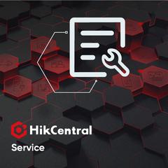 фото Разработка (стоимость инженер-день) (HikCentral-Service)