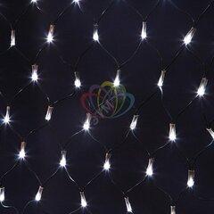 фото Гирлянда-сеть профессиональная светодиодная 2 х 0.7м свечение с динамикой черный провод белый